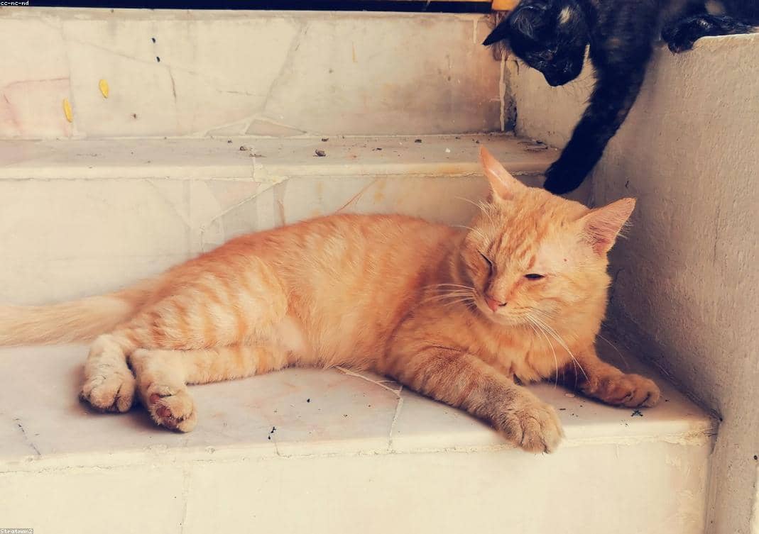 Test_xWzZmQfWbC